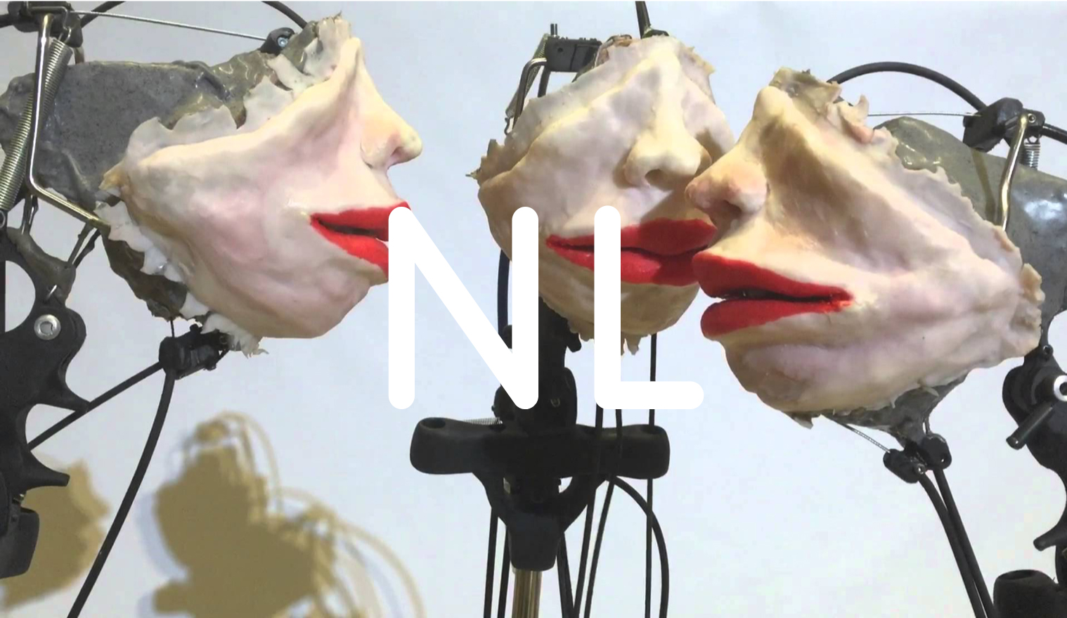 server-demirtas-choir-installatie-2015-nl